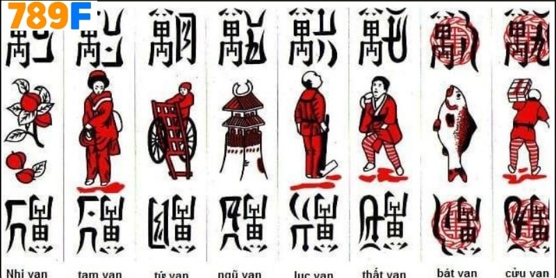 Tổ Tôm Là Gì?