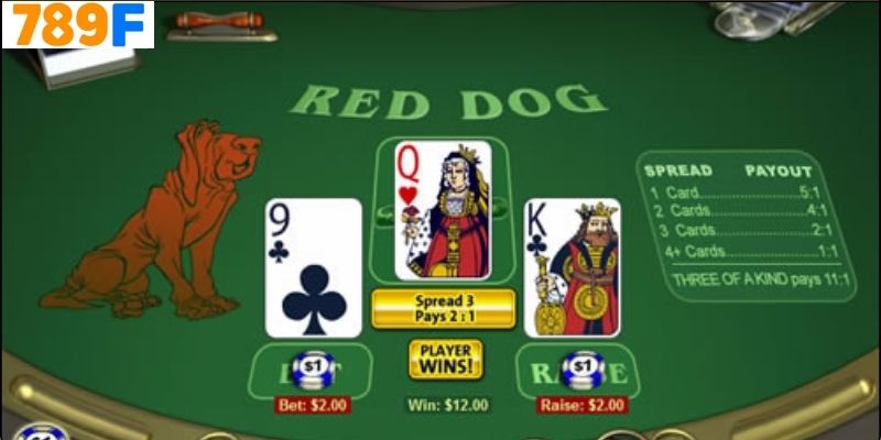 Khái Niệm Về Red Dog