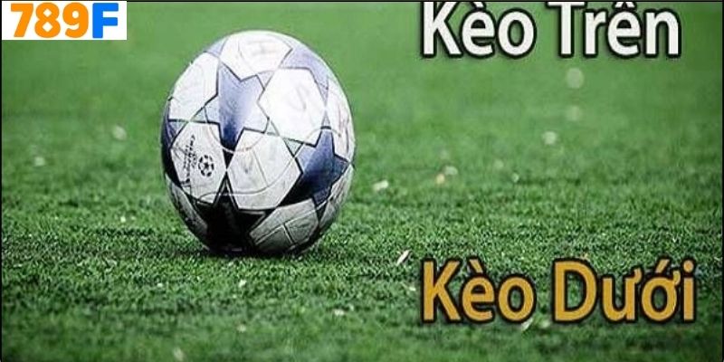 Tại Sao Kèo Dưới 789f Lại Phù Hợp Với Newbie?