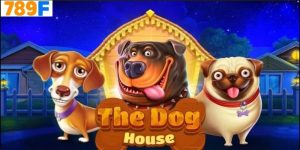 Giới Thiệu Về The Dog House 789f